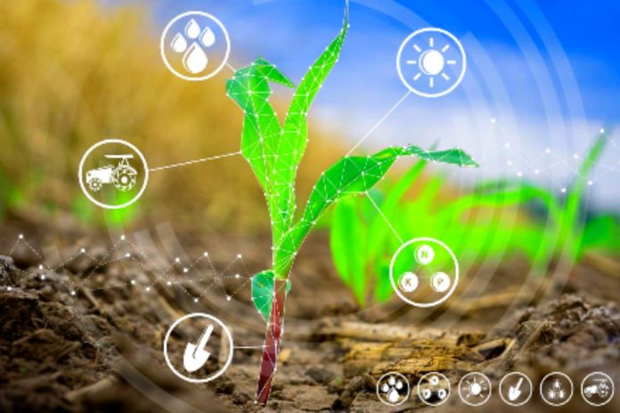 Modern plantations and agricultural technology operations are carried out differently than those practiced a few decades ago. Initially, we can relate this leap in productivity and plantation management to the technological advances applied to agriculture.