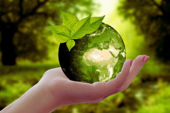 Environmental Sustainability In Companies